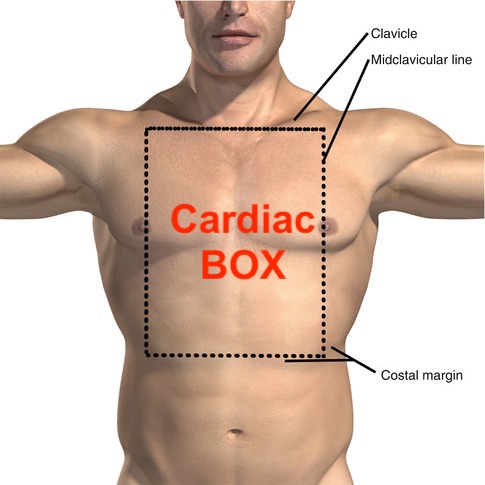 SGEM#332: Think Outside the Cardiac Box | The Skeptics Guide to ...